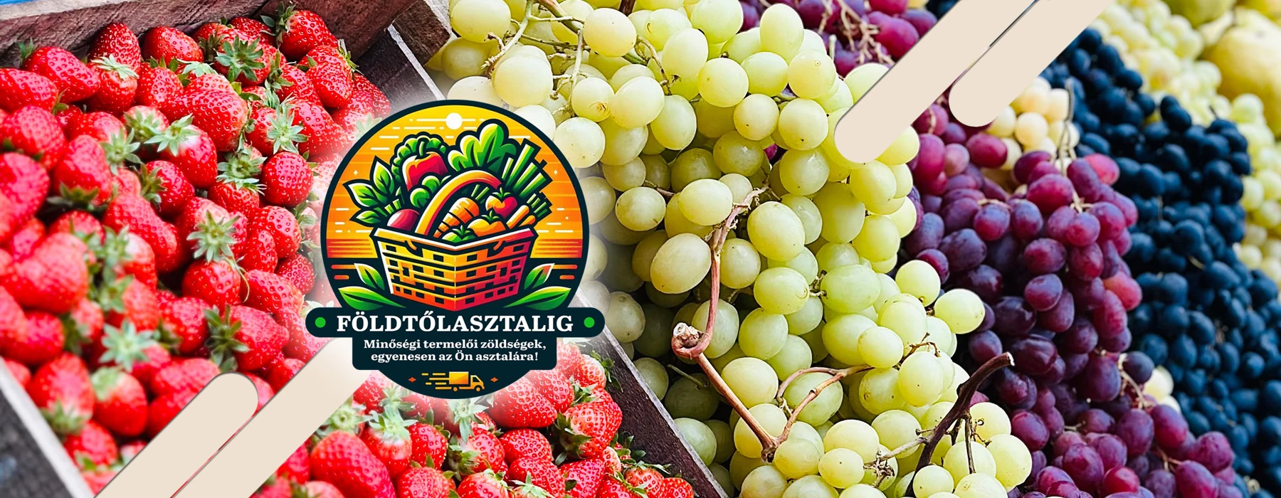 - FÖLDTŐL ASZTALIG -