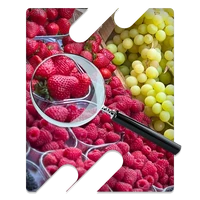 Gyümölcsök
